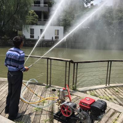 農(nóng)田噴藥設(shè)備選購指南 柴油、汽油與手推式噴藥機價格與特性解析